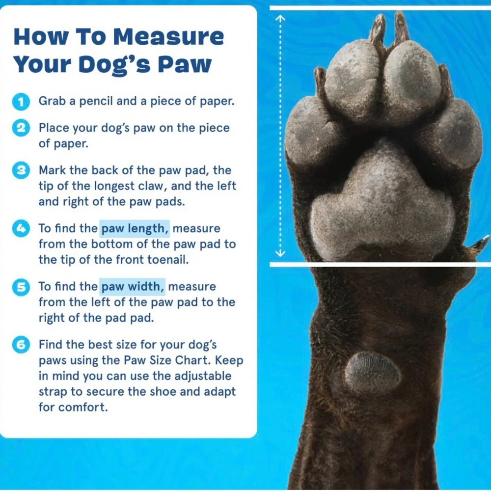 Bark Crocs for Dogs - Picture 7 of 10